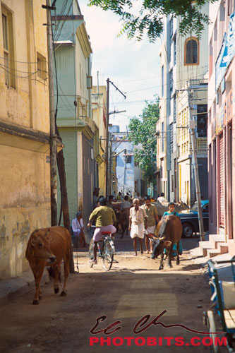 Madurai Alleyway
