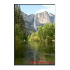 Lower Yosemite Falls Portrait